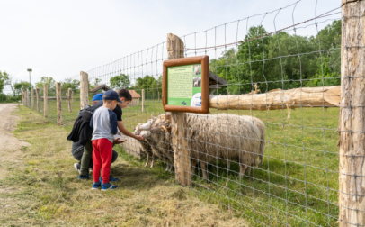 Imre Festetics Animal and Wildlife Park