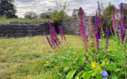 Tipp ha Fenékpuszta felé biciklizel, nézd meg az ókori Valcum romjait