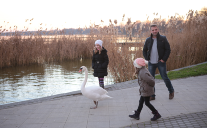 Balaton-parti séta egy hártyás lábú baráttal