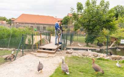 Látogatók szemlélik a park madárvilágát