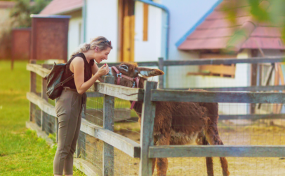Keszthely - Szabadidő - Látogatás a Georgikon Majormúzeum Élménygazdaságában