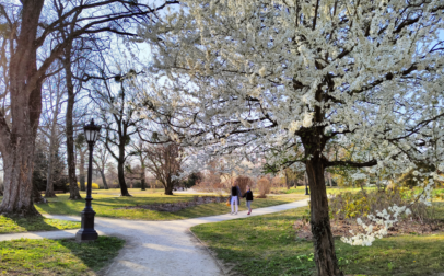 Keszthely - Szabadidő - Séta a tavaszi kastélyparkban