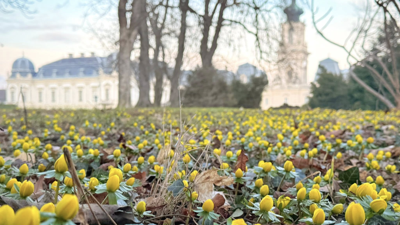 Téltemetők a kastélyparkban